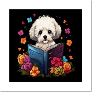 Bichon Frise  Reads Book Posters and Art